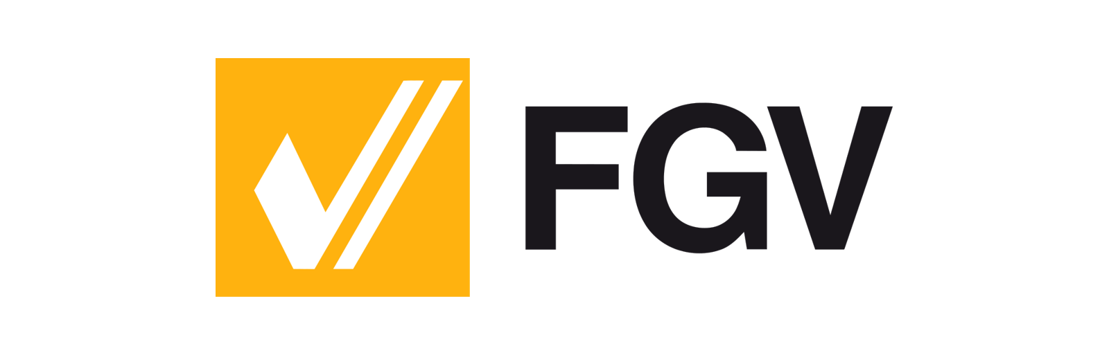 Logo FGV Formato