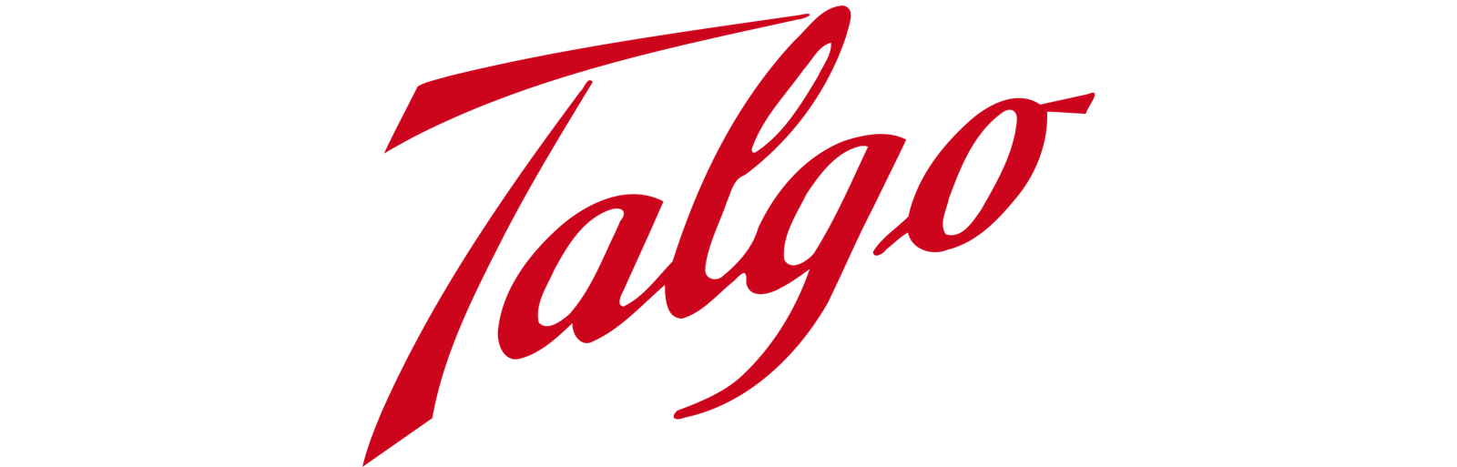 Logo Talgo Formato